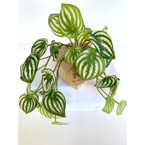 Faux Watermelon Peperomia Hanging Plant in Handmade Wood Pot - Picture 2 of 4
